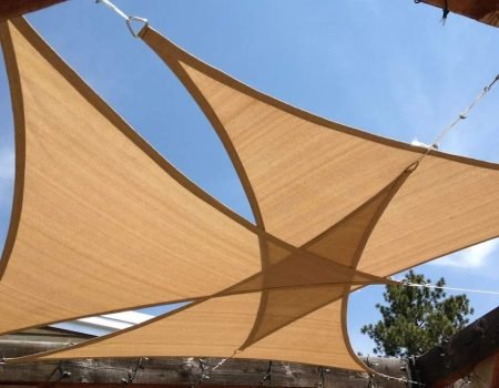 FB_IMG_1662528706464